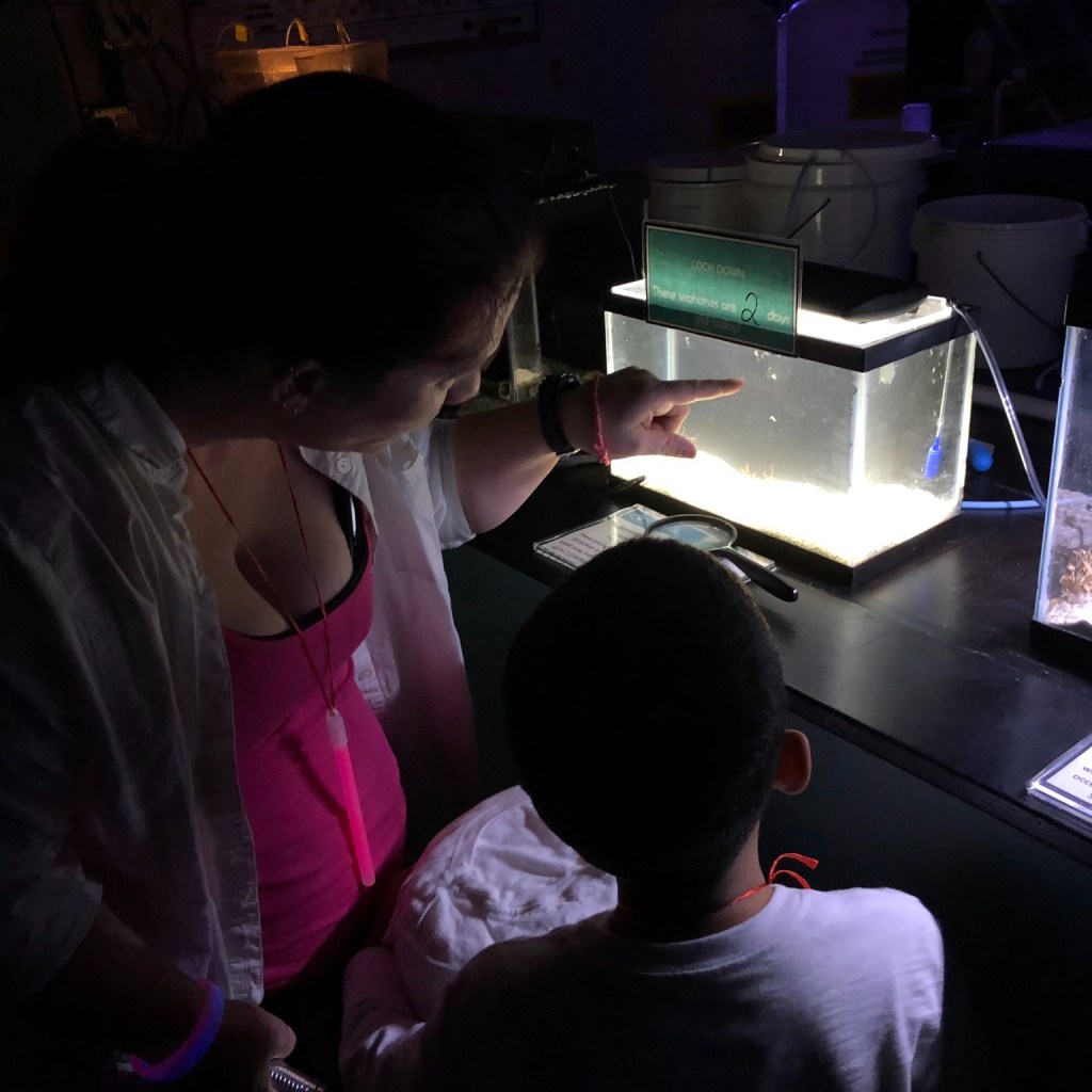 Aquarium After Dark program returns Dec&nbsp;8