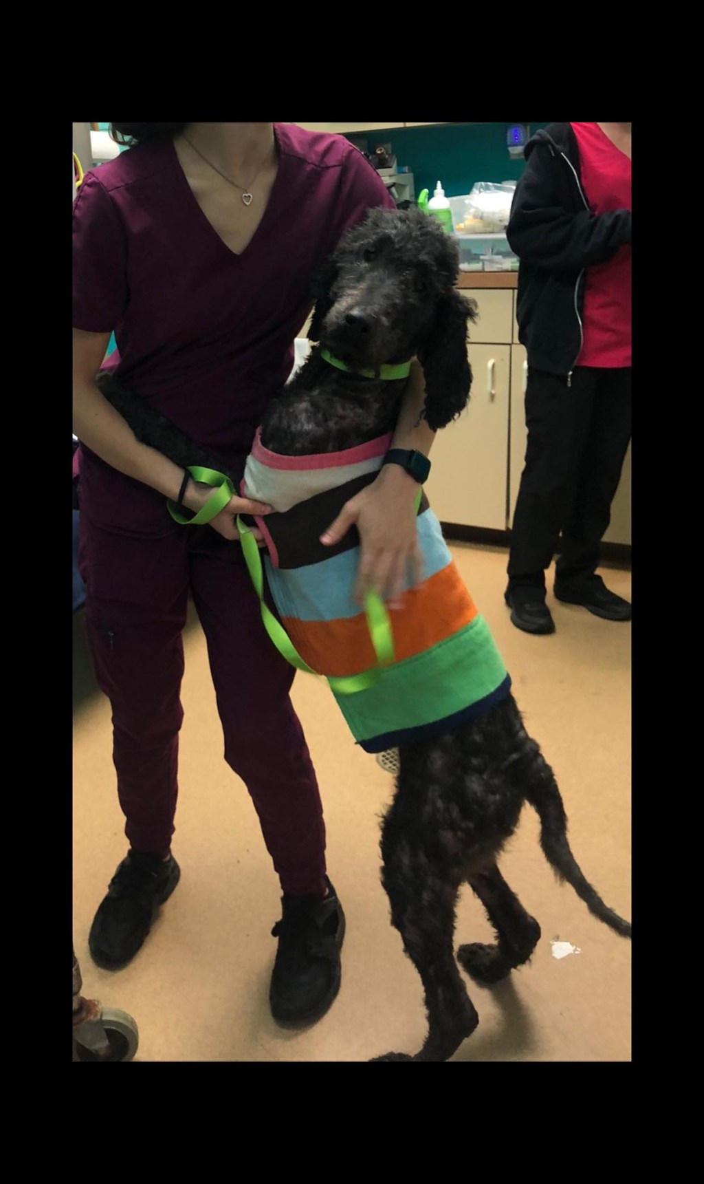 Foster Family needed at Humane&nbsp;Society